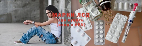 PSILOCYBIN Новокубанск