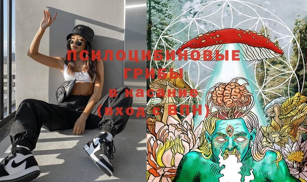 мет Новодвинск