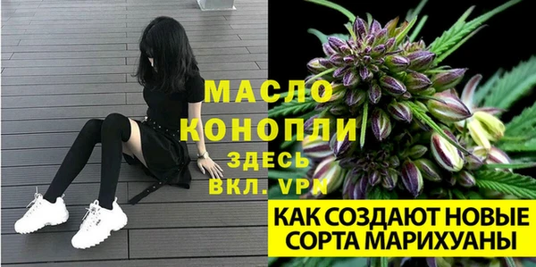 PSILOCYBIN Новокубанск