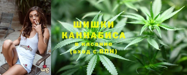 PSILOCYBIN Новокубанск