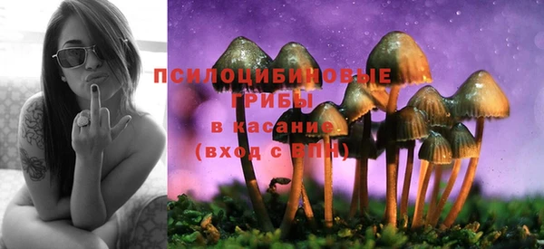 PSILOCYBIN Новокубанск