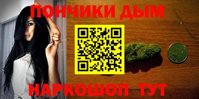 индика Северобайкальск