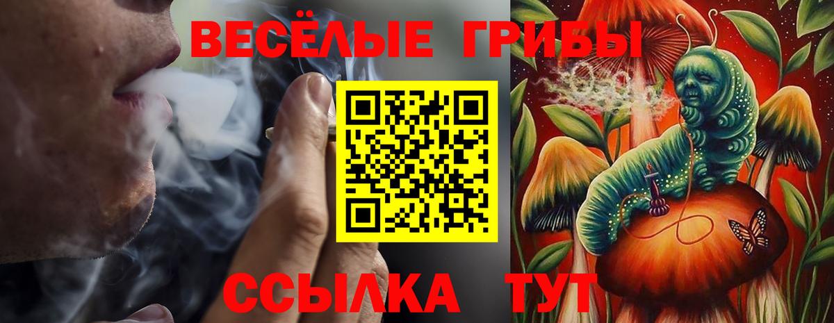 Псилоцибиновые грибы мицелий Ревда
